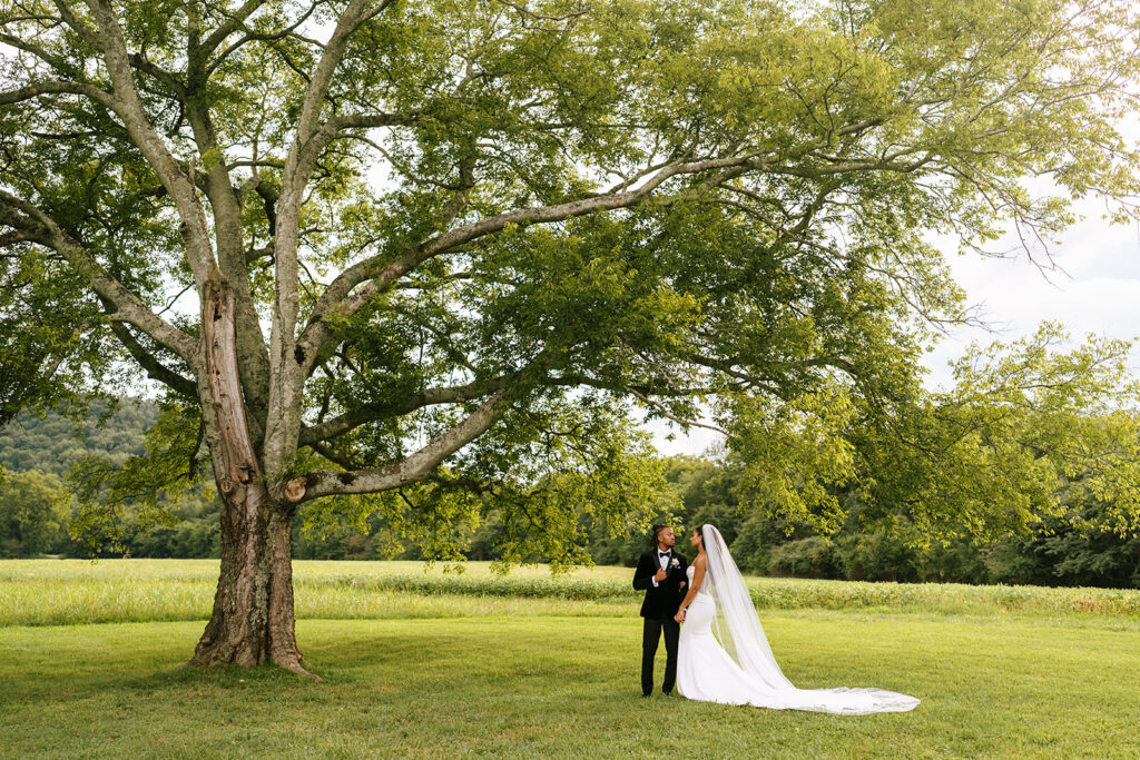 southall meadows wedding