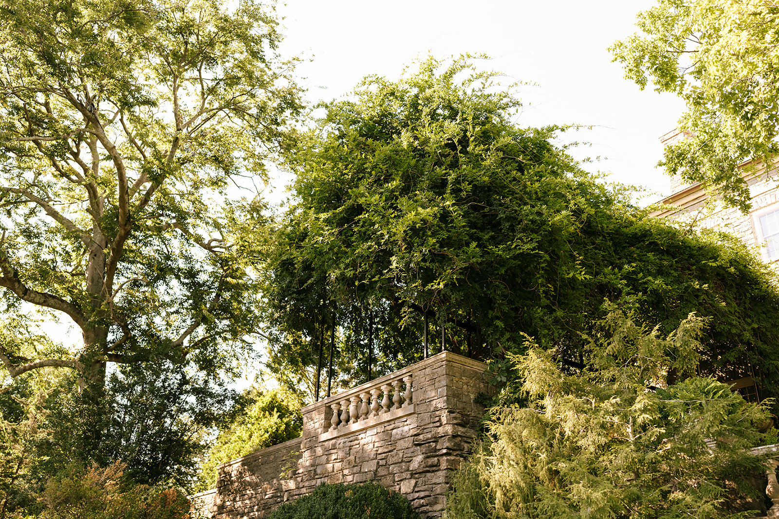 cheekwood weddings nashville